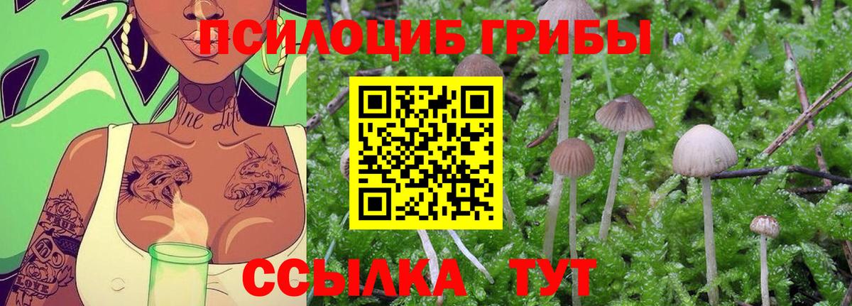 Псилоцибиновые грибы Psilocybe  Галлюциногенные грибы мухоморы  Ефремов  Вход с VPN 